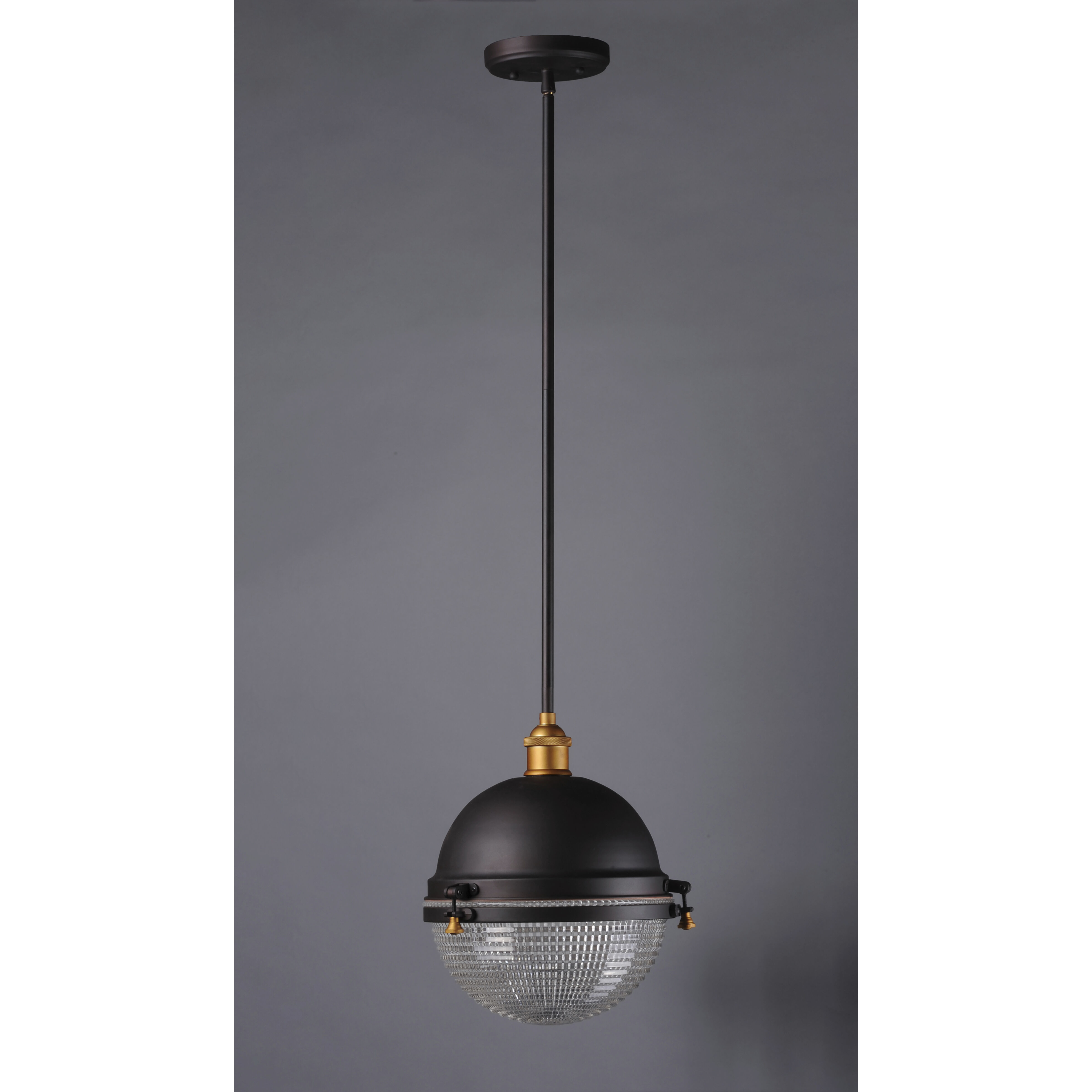 Portside 1 Light 12 inch Oil Rubbed Bronze/Antique Brass Outdoor Pendant