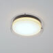 Duo LED 19.75 inch Black Flush Mount Ceiling Light
