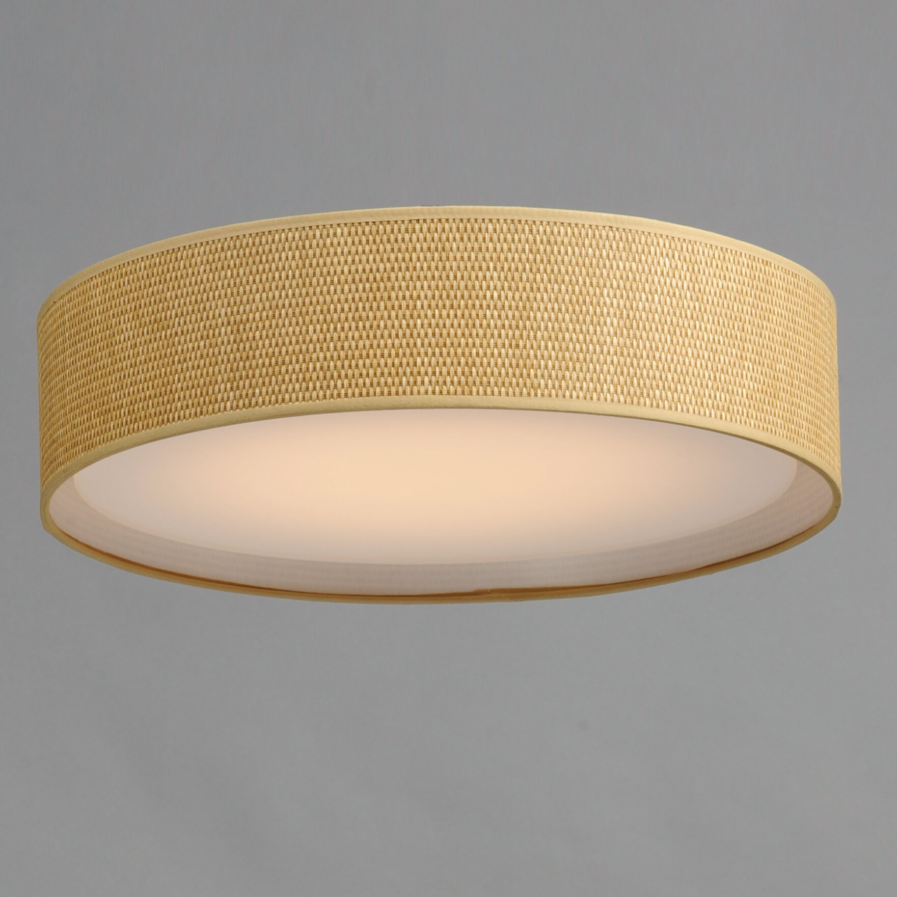 Prime LED 20 inch Flush Mount Ceiling Light