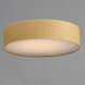 Prime LED 20 inch Flush Mount Ceiling Light