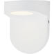 Ledge 1 Light 4.25 inch Wall Sconce