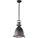 Hi-Bay 1 Light 14.25 inch Bronze Single Pendant Ceiling Light