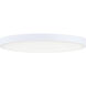 Trim 1 Light 11.00 inch Flush Mount