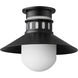 Admiralty 1 Light 12 inch Black Outdoor Flush Mount