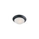 Essentials 585x 2 Light 14 inch Black Flush Mount Ceiling Light in Frosted
