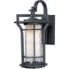 Oakville LED 17.5 inch Black Oxide Outdoor Wall Mount