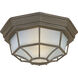 Crown Hill 2 Light 10.75 inch Rust Patina Outdoor Flush Mount