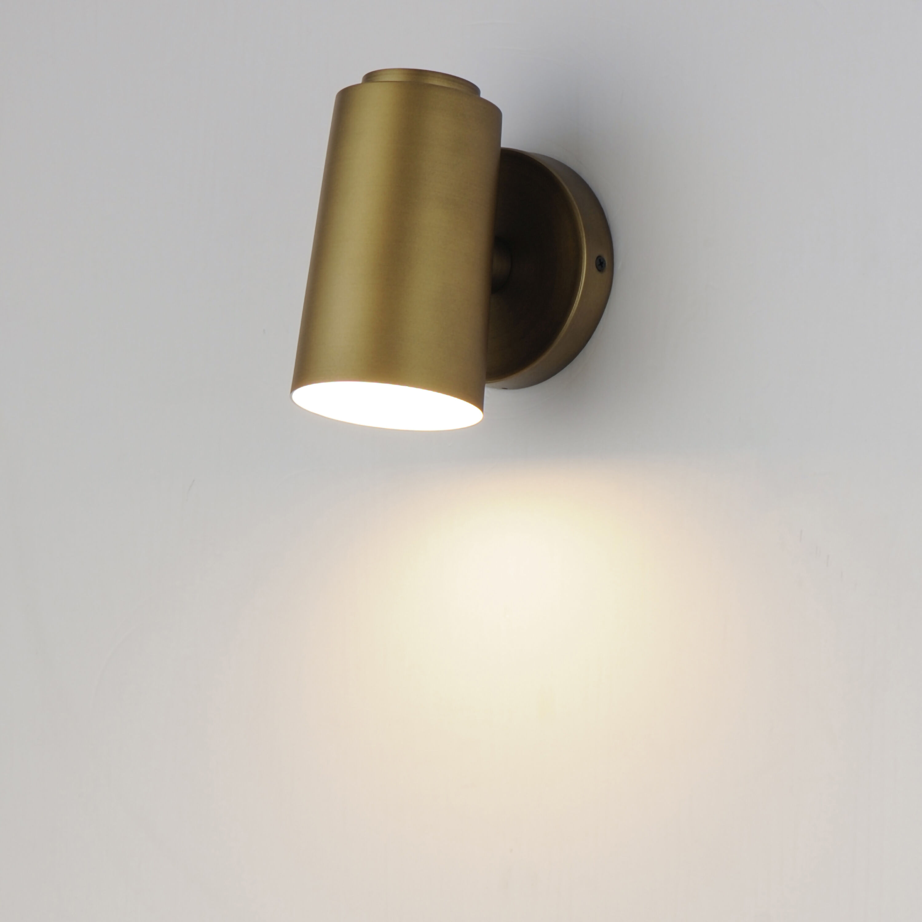 Spot Light LED 7 inch Natural Aged Brass Outdoor Wall Mount