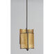 Caspian 2 Light 9 inch Oil Rubbed Bronze and Antique Brass Multi-Light Pendant Ceiling Light