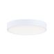 Trim 1 Light 5.00 inch Flush Mount