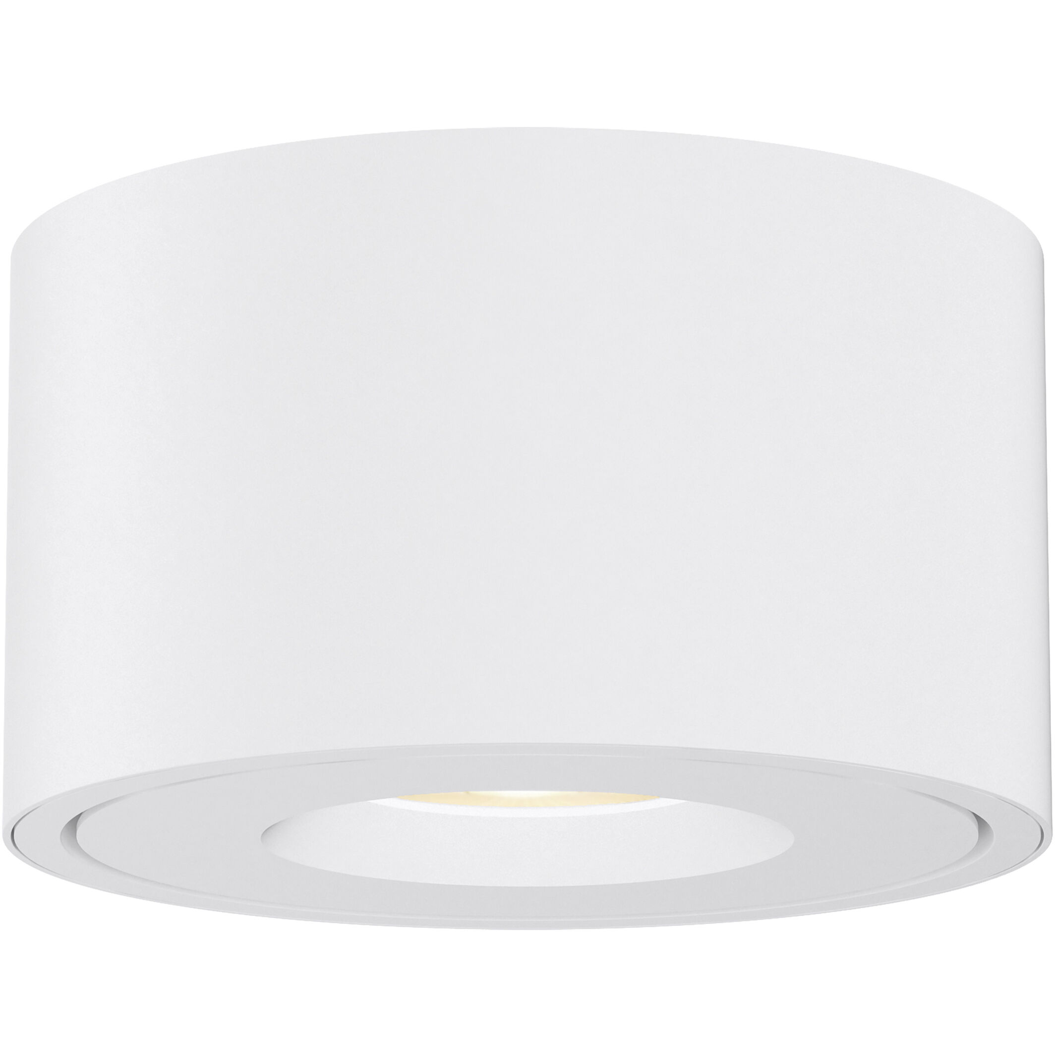 Fulcrum 1 Light 5.00 inch Flush Mount
