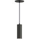 Calibro LED 2.5 inch Black Outdoor Pendant