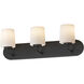 Durham 3 Light 24 inch Black Bath Vanity Wall Light