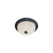 Essentials 583x 2 Light 14 inch Black Flush Mount Ceiling Light