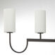Town and Country 4 Light 43.25 inch Black Linear Pendant Ceiling Light