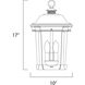 Dover DC 3 Light 10 inch Bronze Outdoor Hanging Lantern