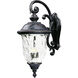 Carriage House DC 3 Light 31 inch Oriental Bronze Outdoor Wall Mount