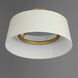 Paramount LED 16 inch Natural Aged Brass Flush Mount Ceiling Light