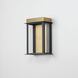 Rincon LED 10 inch Black and Gold Outdoor Wall Mount