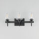 Goblet 3 Light 20.25 inch Black Bath Vanity Wall Light