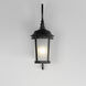 Dover LED 19.5 inch Bronze Outdoor Wall Mount