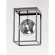 Fluid LED 9.75 inch Black and Polished Chrome Flush Mount Ceiling Light in Mirror Smoke