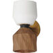 Akimbo Wall Sconce Wall Light