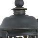 Whisper Dark Sky LED 22 inch Bronze Outdoor Wall Mount