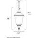 Carriage House VX 3 Light 14 inch Oriental Bronze Outdoor Hanging Lantern