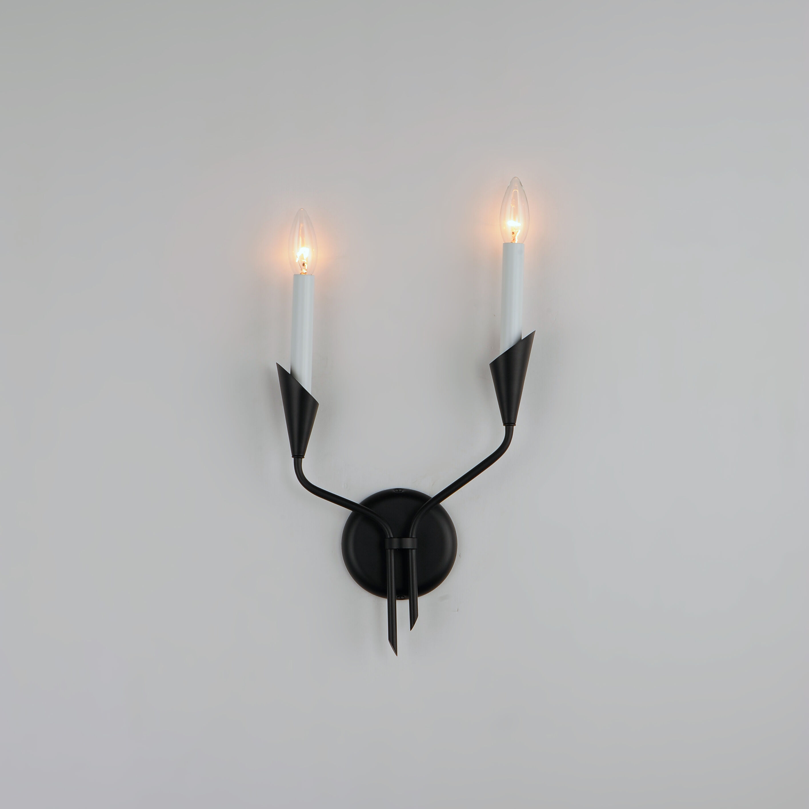 Calyx Wall Sconce Wall Light
