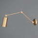 Shaka 1 Light 17.5 inch Weathered Brass Wall Sconce Wall Light