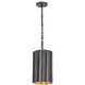 Allegra 1 Light 9.5 inch Gunmetal and Gold Mini Pendant Ceiling Light