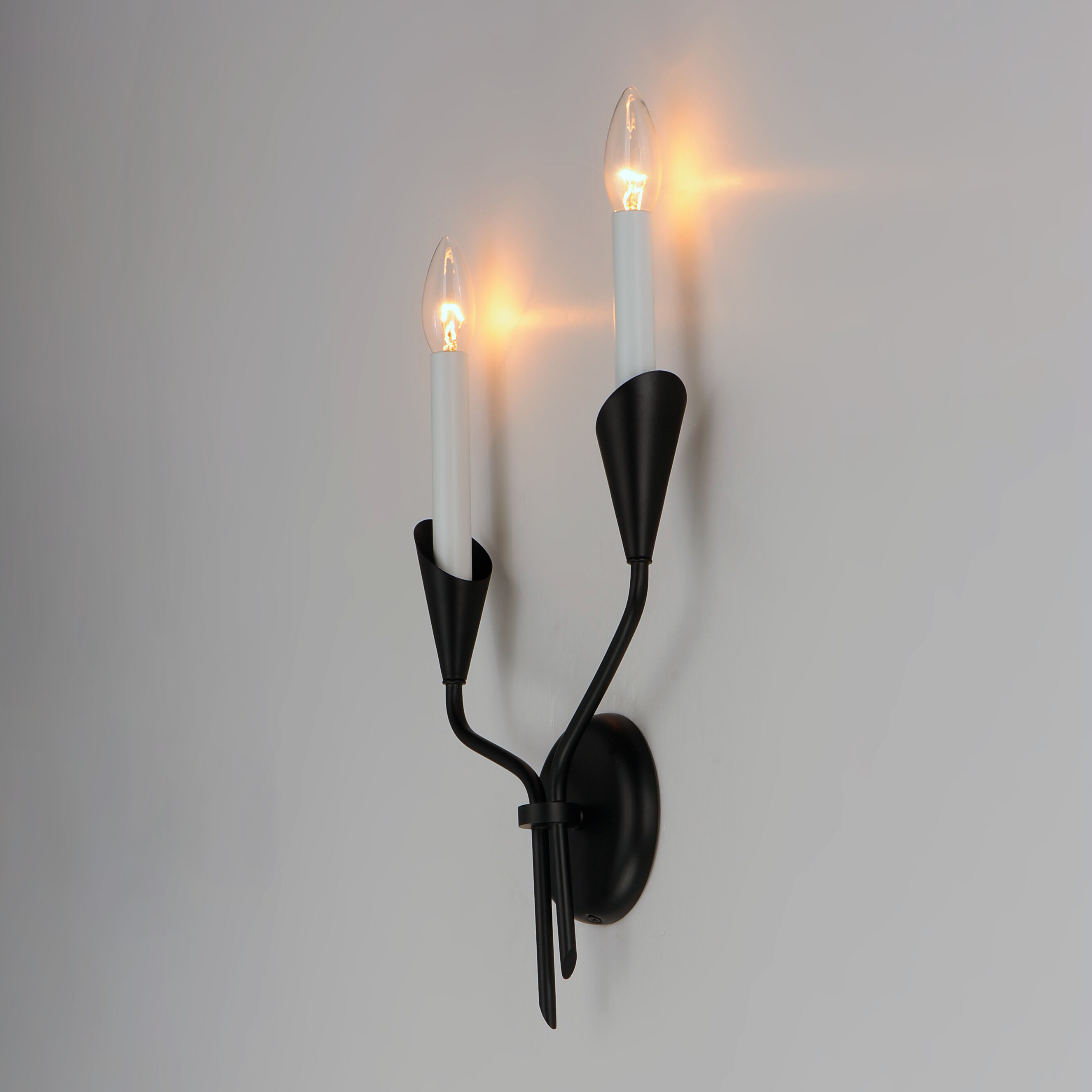 Calyx Wall Sconce Wall Light