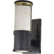 Pillar LED 11 inch Galaxy Black Outdoor Wall Mount