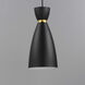 Carillon 1 Light 7 inch Black with Satin Brass Mini Pendant Ceiling Light in Black and Satin Brass, Elongated