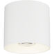 Stout LED 4.75 inch White Flush Mount Ceiling Light, Indoor/Outdoor