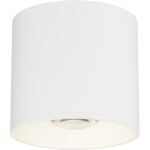 Stout LED 4.75 inch White Flush Mount Ceiling Light, Indoor/Outdoor
