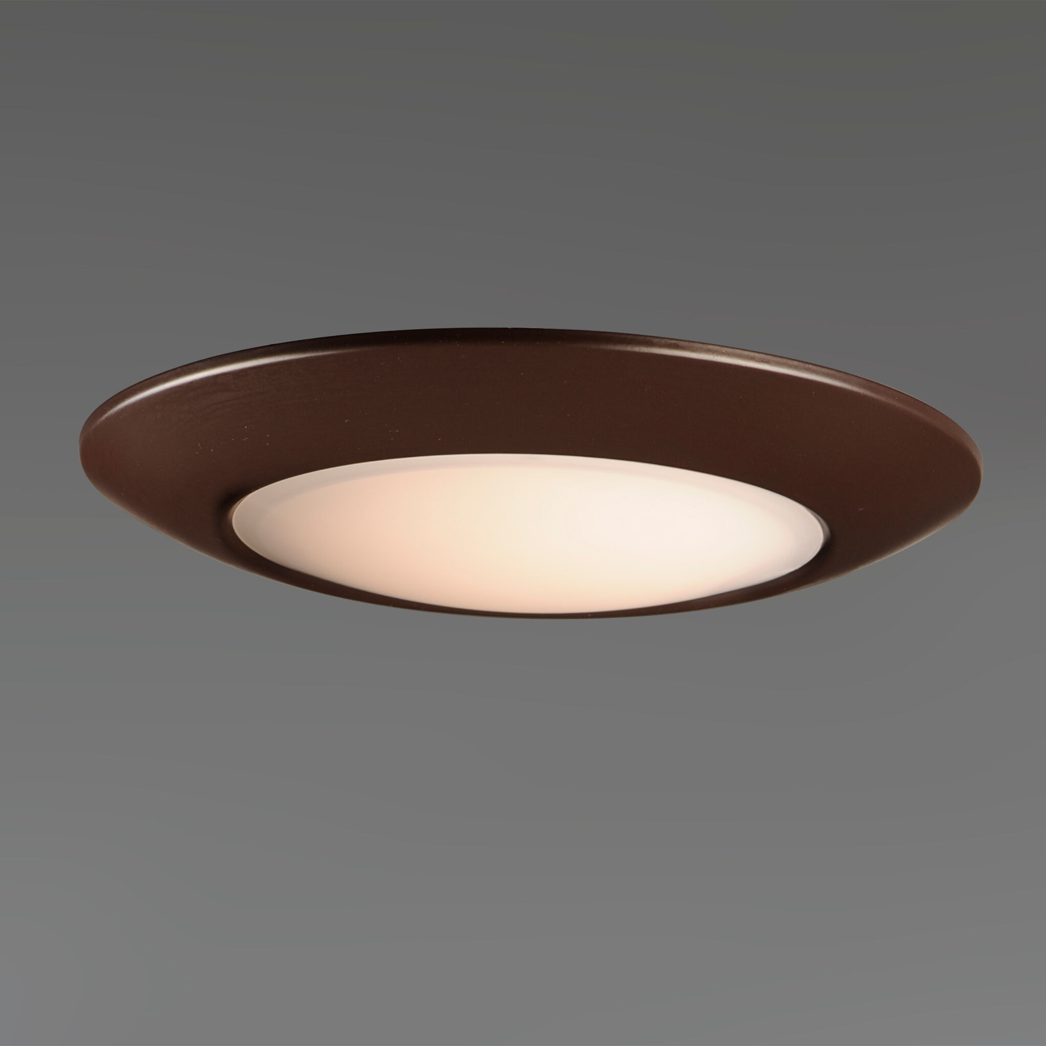 Diverse LED LED 11 inch Bronze Flush Mount Ceiling Light