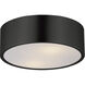 Tommy 2 Light 12 inch Black Flush Mount Ceiling Light