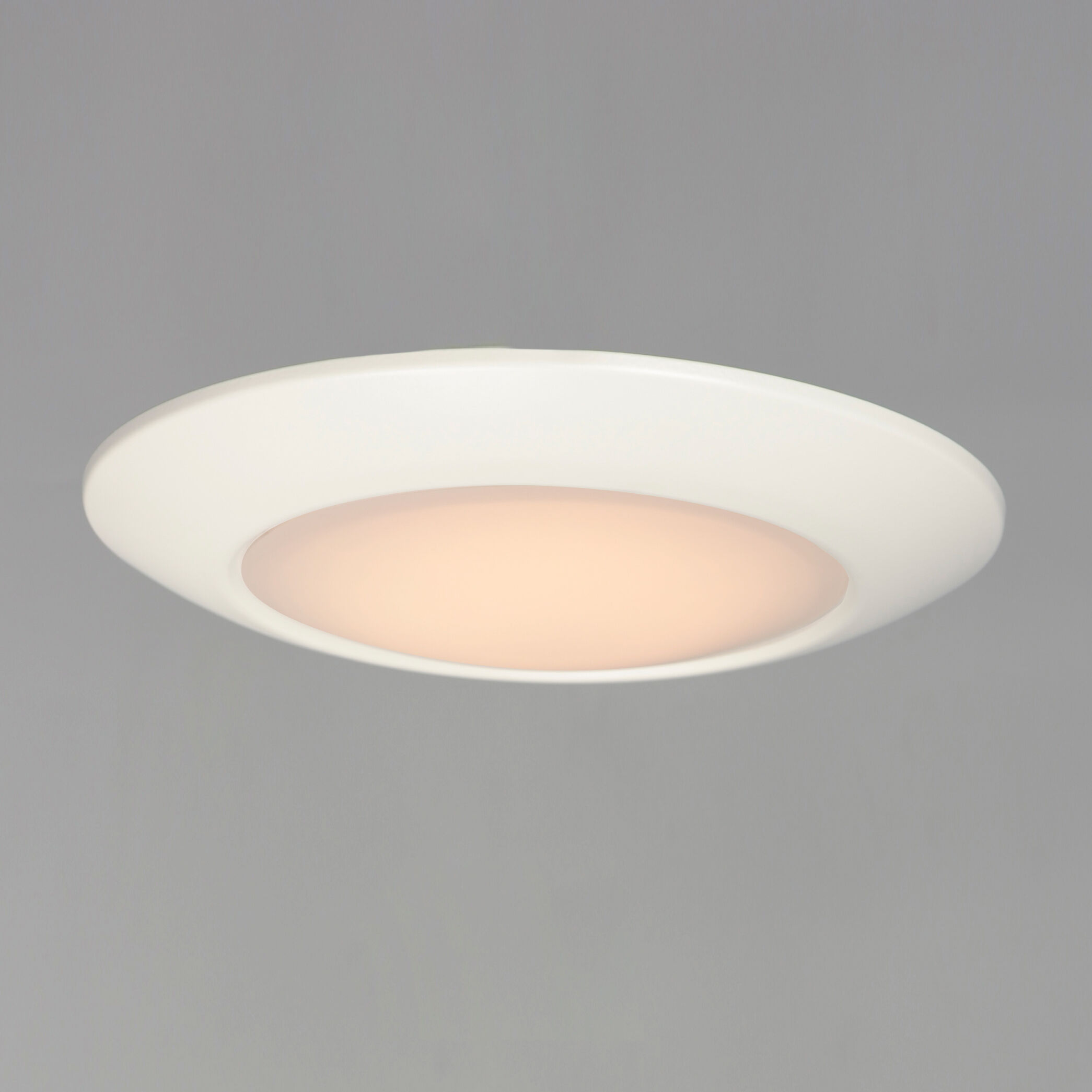 Diverse LED LED 11 inch White Flush Mount Ceiling Light