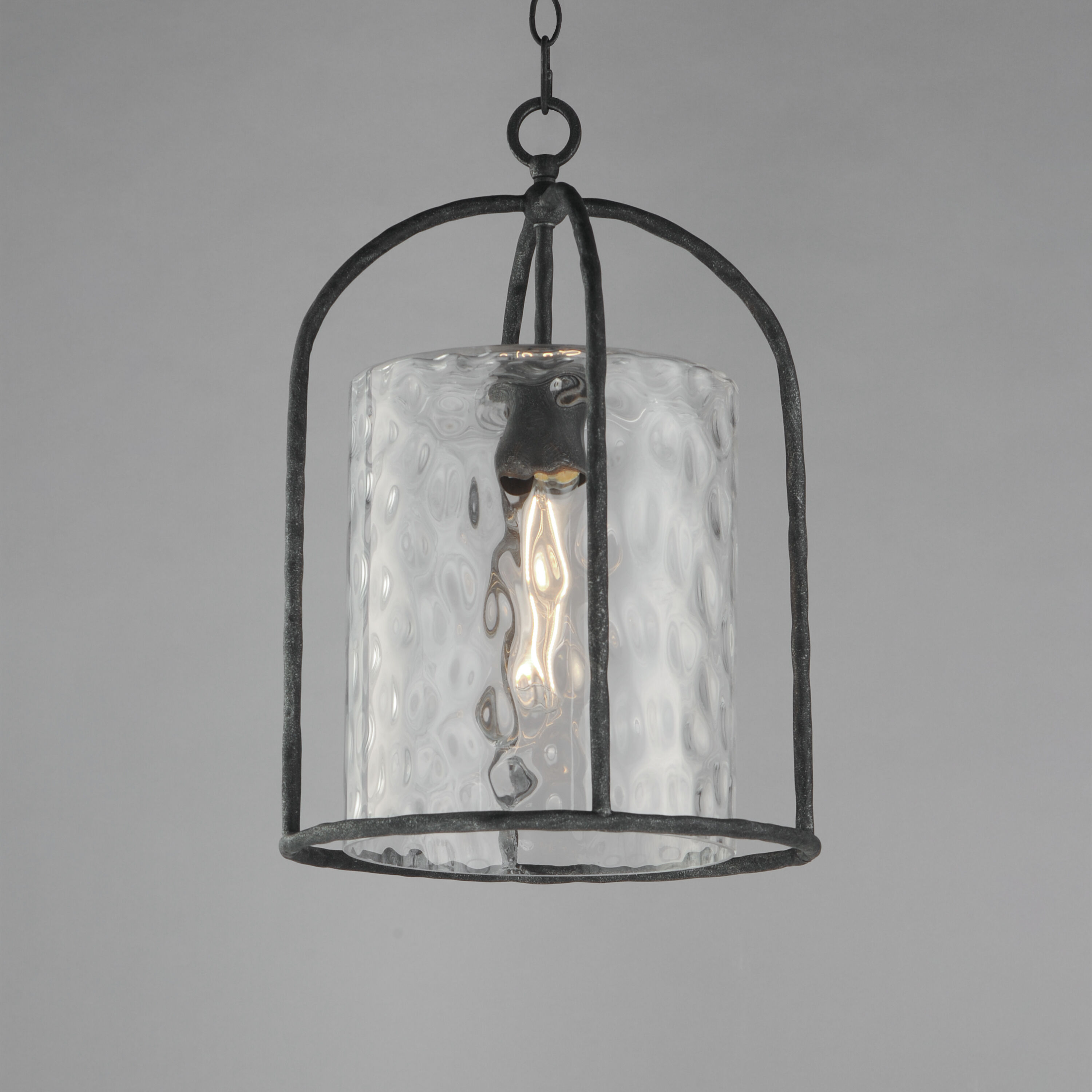 Del Mar 1 Light 13 inch Blacksmith Outdoor Pendant in Water