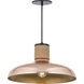 Bingham 1 Light 17 inch Copper Single Pendant Ceiling Light