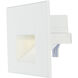 Path 120 4 watt White Outdoor Pathway Light