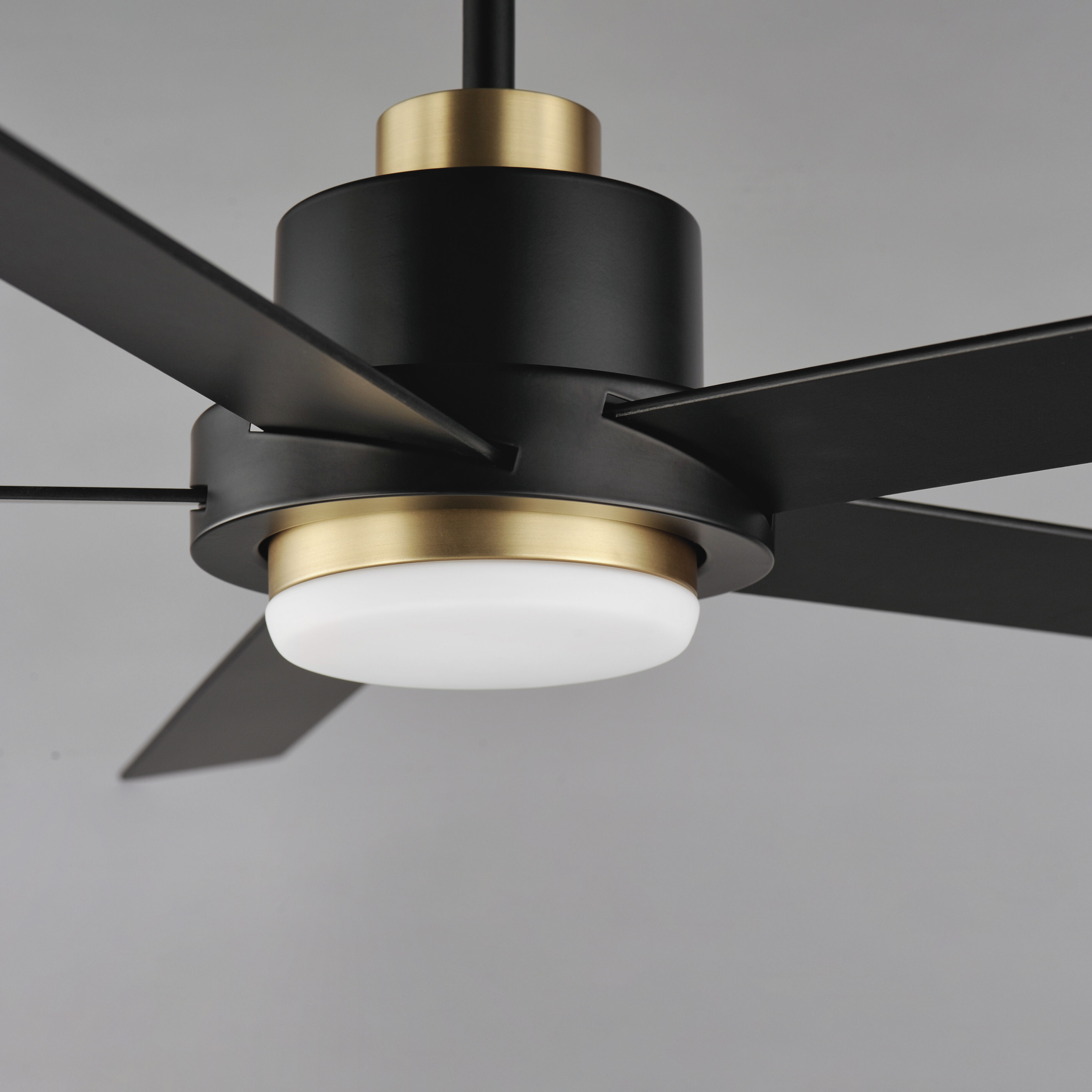 Daisy 60 inch Black and Gold Indoor Ceiling Fan