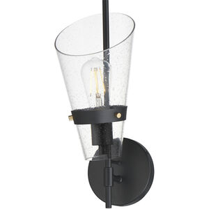 Finch Wall Sconce Wall Light in Seedy, Dark BronzeandAntique Brass