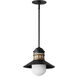 Admiralty 1 Light 12.00 inch Outdoor Pendant/Chandelier
