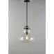Stella 1 Light 13.75 inch Oil Rubbed Bronze Single Pendant Ceiling Light in Hammer