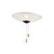 San Gabriel 3 Light Incandescent Black Ceiling Fan Light Kit