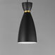 Carillon 1 Light 7 inch Black and Satin Brass Mini Pendant Ceiling Light, Elongated
