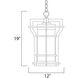 Oakville 1 Light 12 inch Black Oxide Outdoor Hanging Lantern
